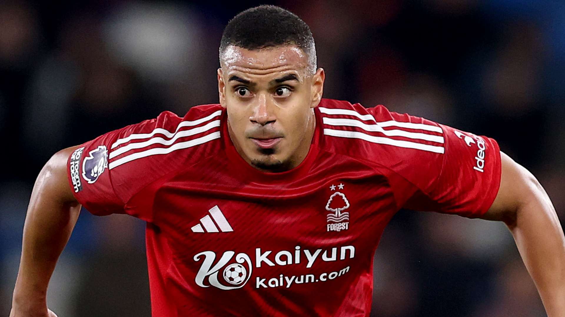 杯的命运 杯的命运